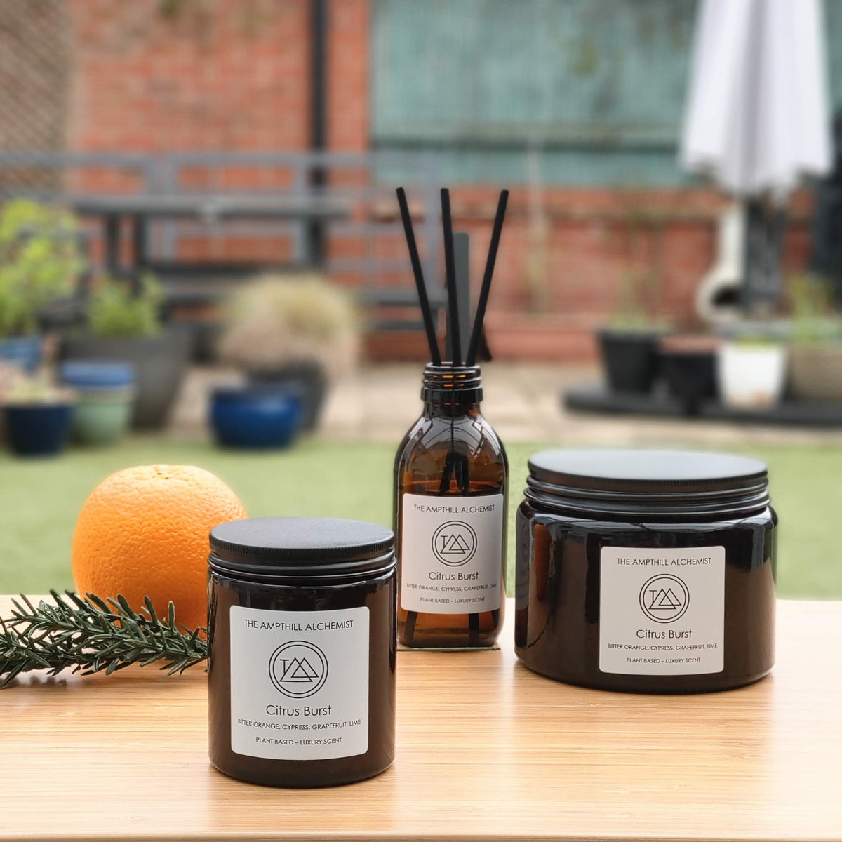 Citrus Burst - Citrus & Zesty